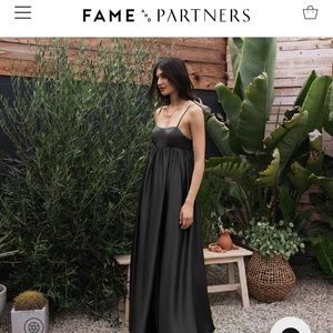 BRAND NEW NEVER WORN Fame and Partners Rocco Dress